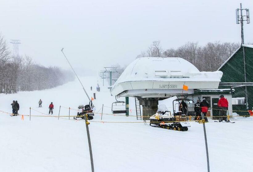 Отель The Queens Slopeside Hideaway