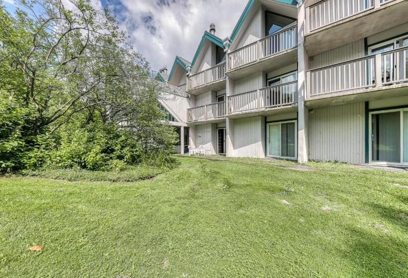 בית מלון כפרי Cozy Mountainside Condo