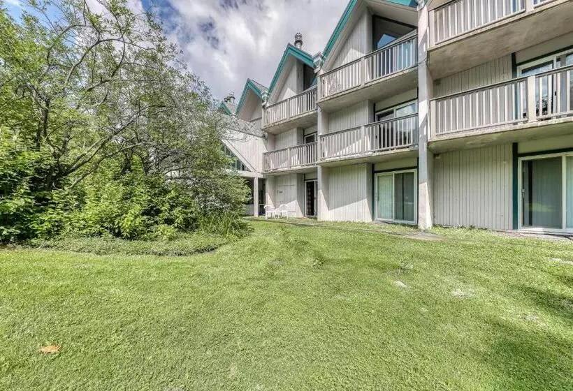 ホテル Cozy Mountainside Condo