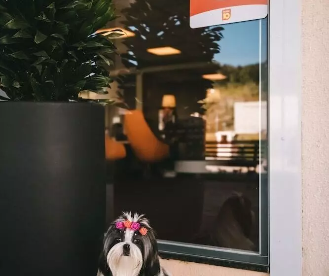 בית מלון כפרי 10 Curitiba