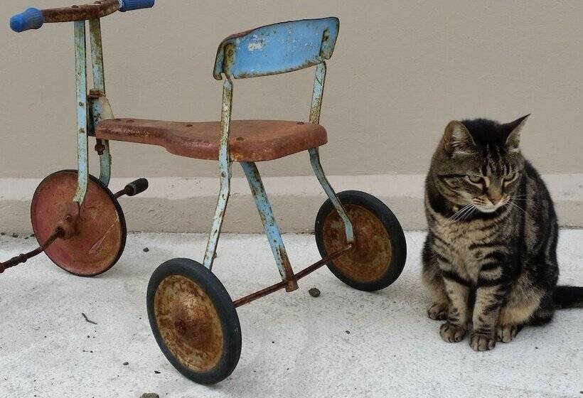 فندق Designer Cottage B&b