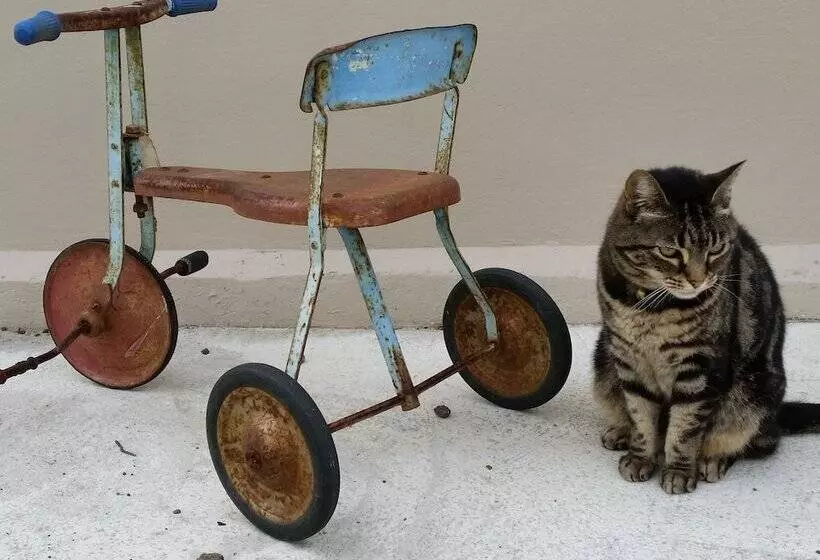 בית מלון כפרי Designer Cottage B&b