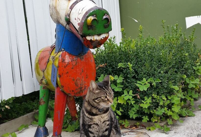 فندق Designer Cottage B&b