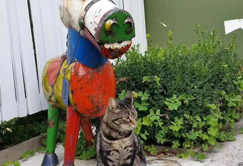 בית מלון כפרי Designer Cottage B&b