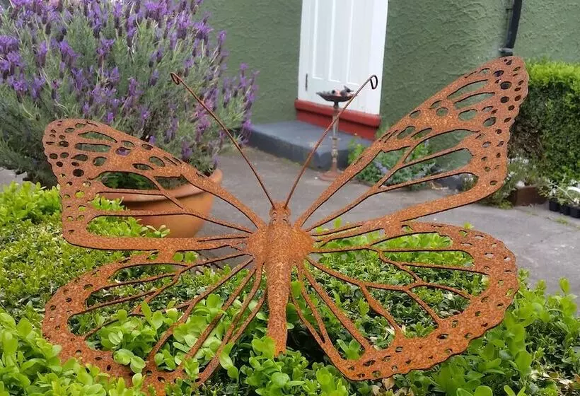 בית מלון כפרי Designer Cottage B&b