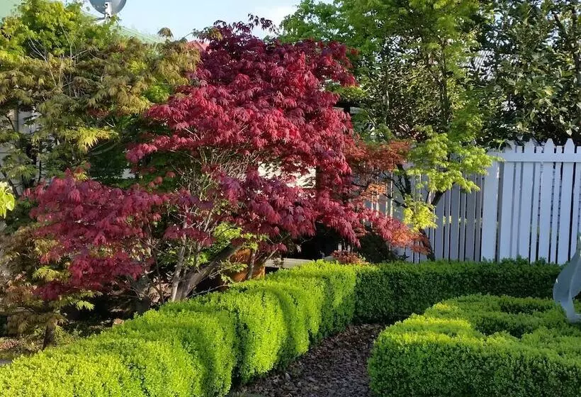 בית מלון כפרי Designer Cottage B&b