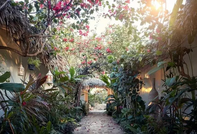 호텔 The Chili Beach Private Resort