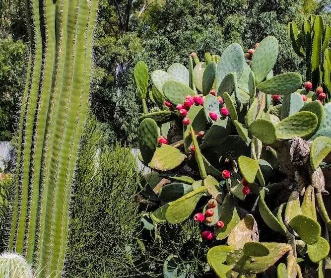 La Villa Del Re   Adults Only   Small Luxury Hotels Of The World