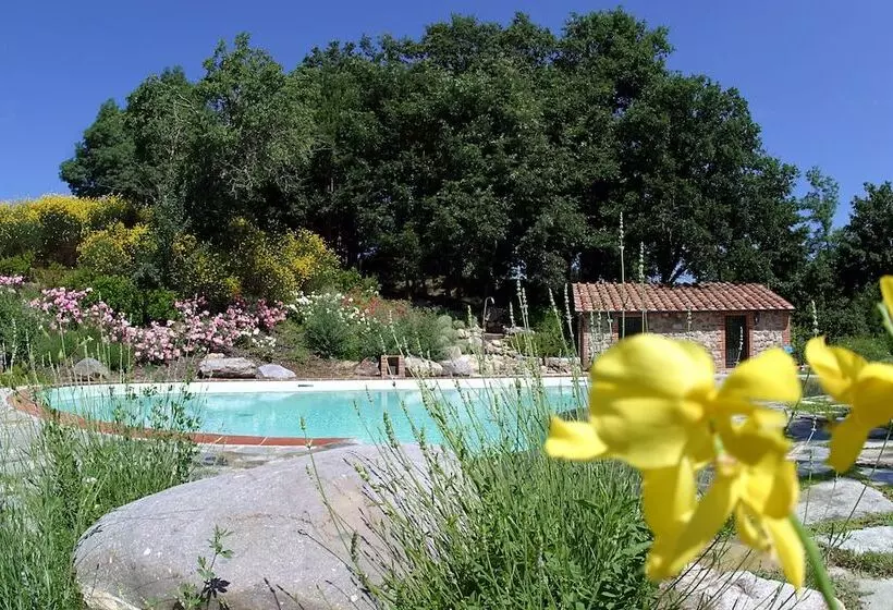 Mulino Delle Pile