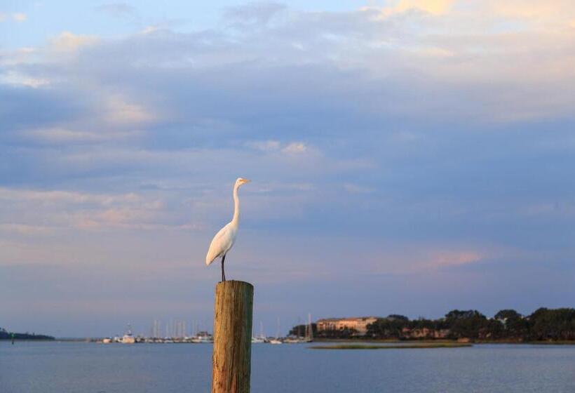 هتل Barrington Arms 208