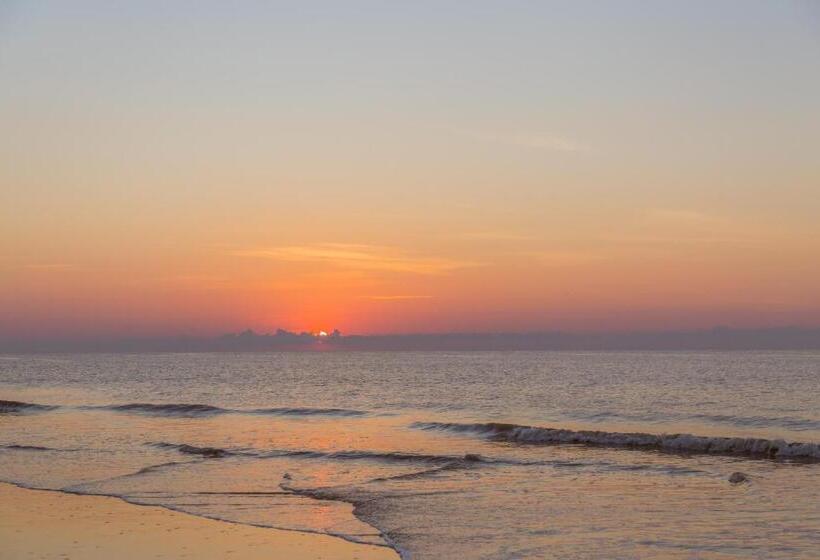 هتل Barrington Arms 208