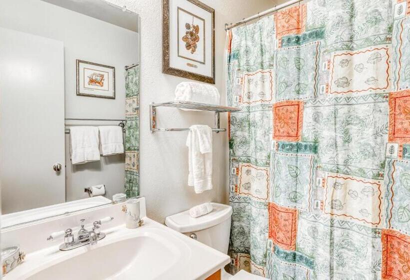 فندق Incline Oasis