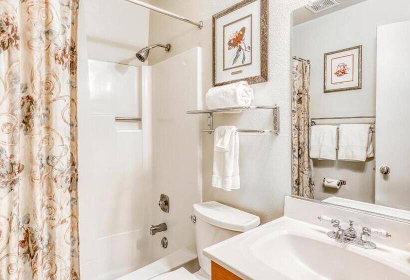 فندق Incline Oasis