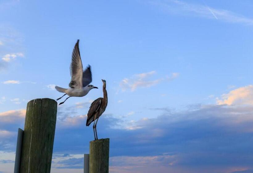 هتل Tennismaster 303