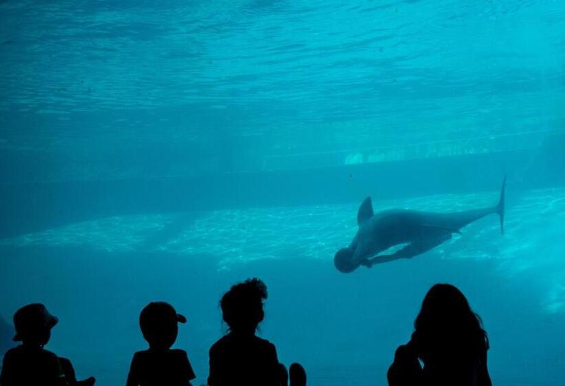 هتل Fortuna Sea Brisas Condominiums #4