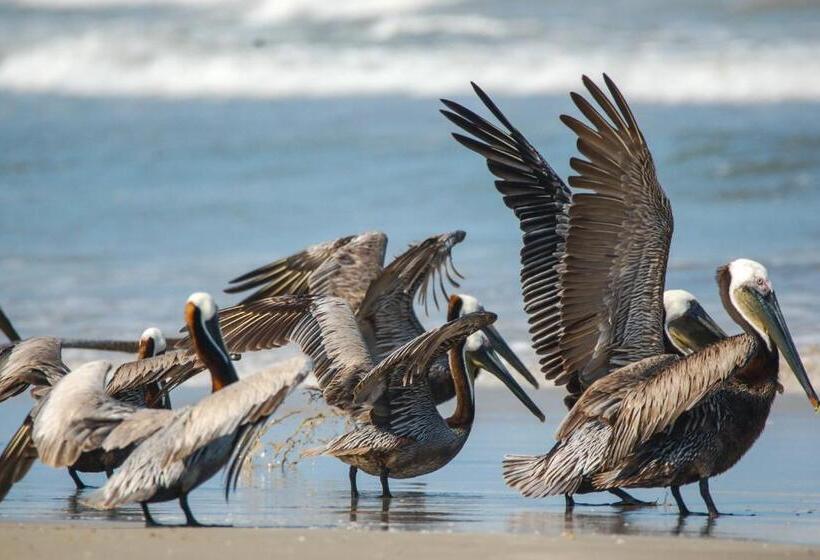 هتل Fortuna Sea Brisas Condominiums #4