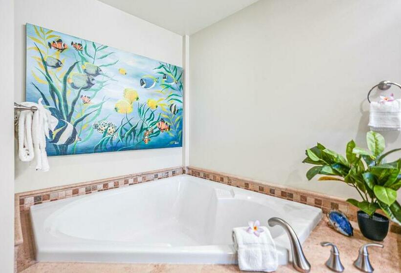 ホテル Waipouli Beach Resort H202