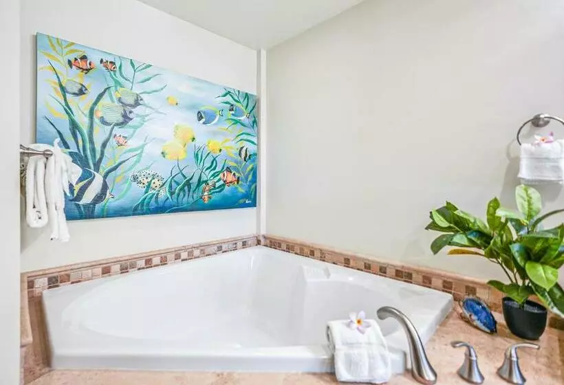 Hotelli Waipouli Beach Resort H202