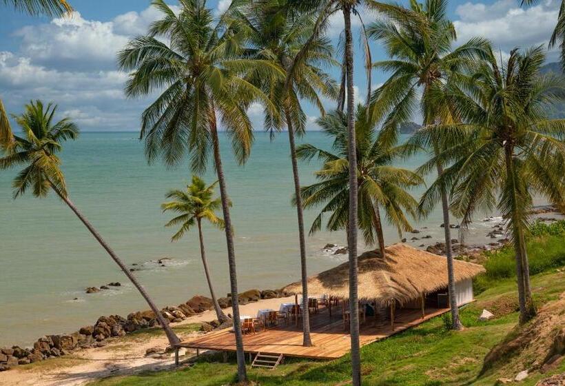 Отель Coconut Grove Resort