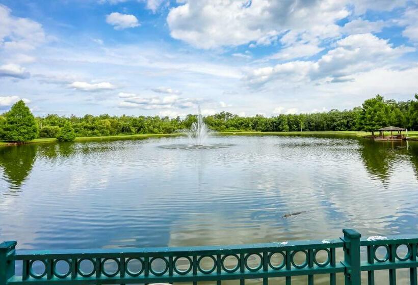 فندق Sunshine State Of Mind