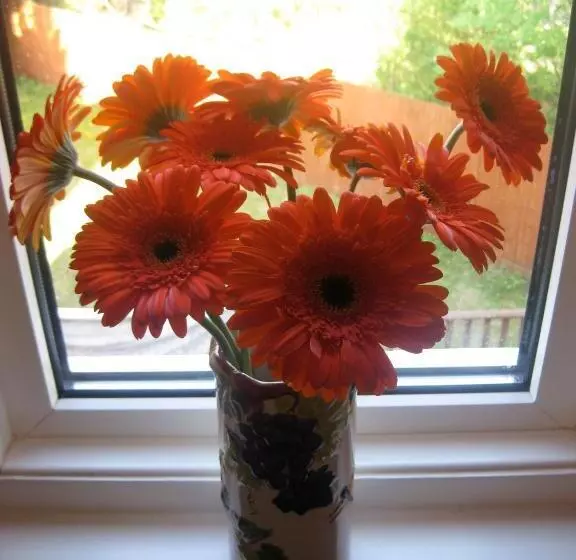 צימר Taylors Guesthouse