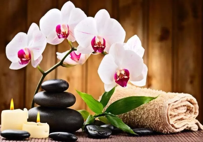 Favehotel Cimanuk Garut