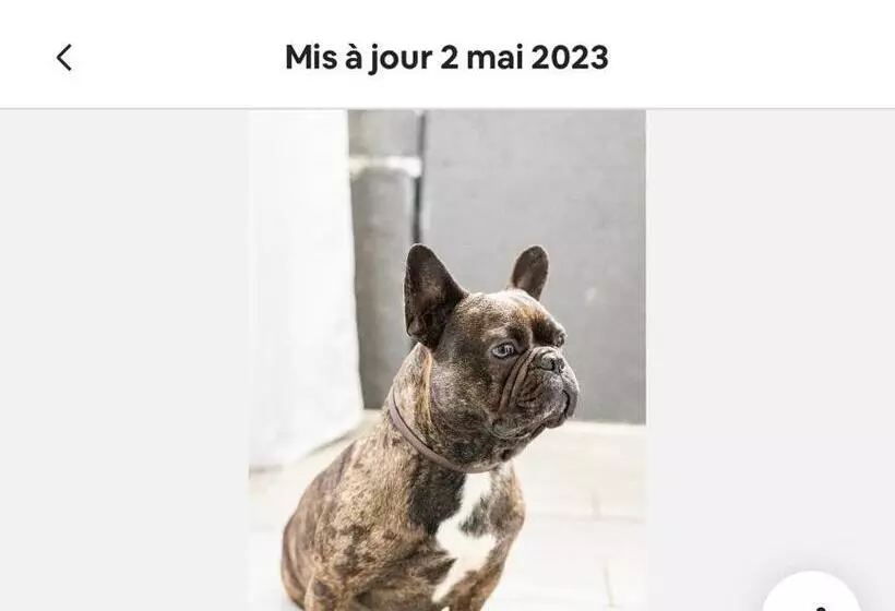 ベッドアンドブレックファースト Chambre Cosy