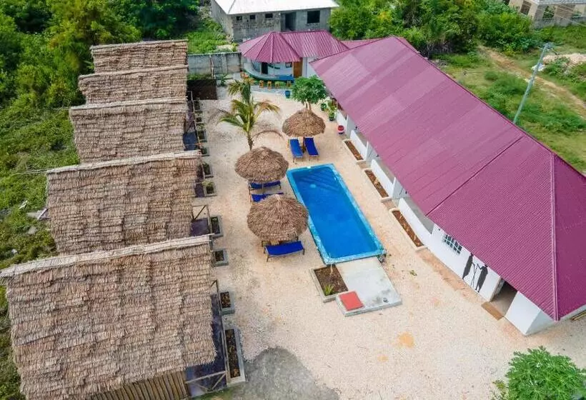 Vinney S Hostel