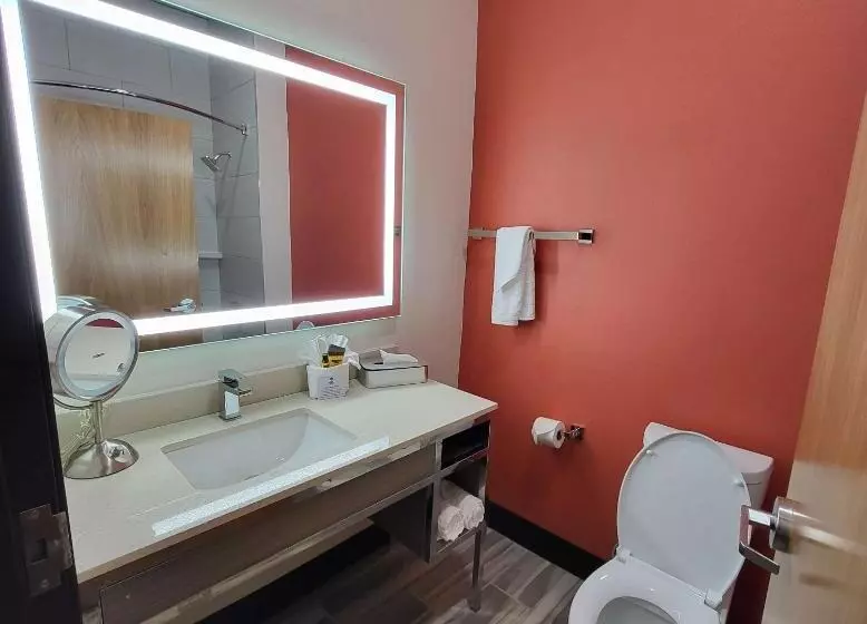 Hotelli Best Western Plus Executive Residency Carlsbad