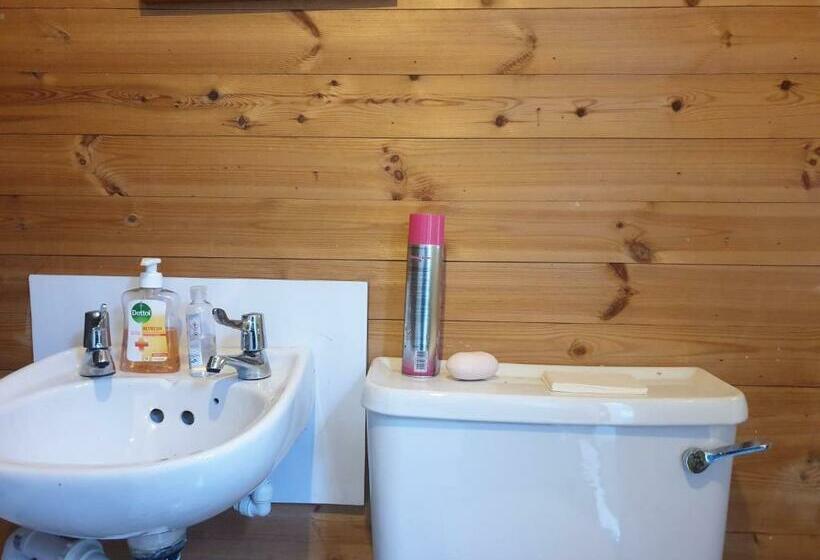 פנסיון Creepy Ole Chapel