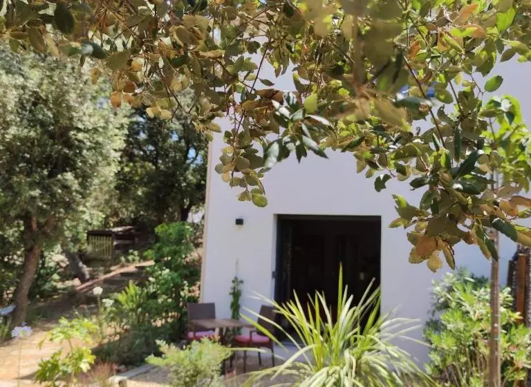 ペンション Le Demeure De Poulpican Chambre La Grotte Jacuzzi Charme Romantique Terrasse Privée 300m Plage Et Re