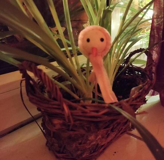 Pension Relax Hvězdička