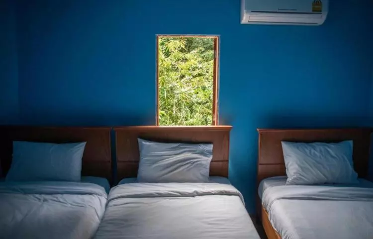 The Lazy Bar And Guesthouse