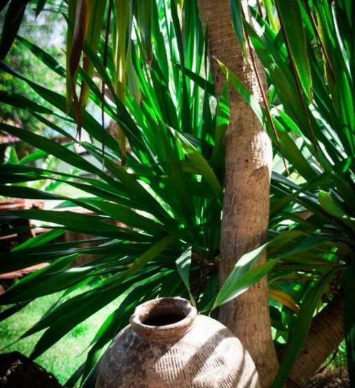 The Lazy Bar And Guesthouse