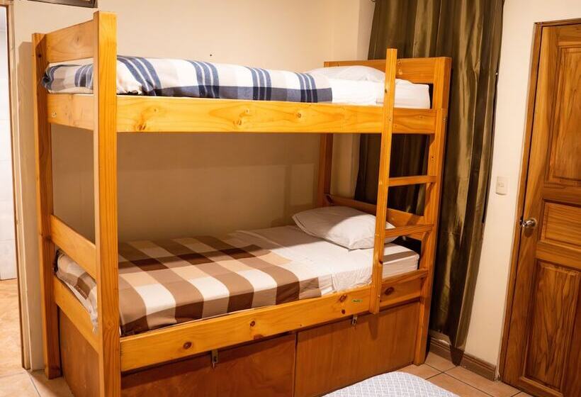 بنسيون Eco Hotel Puerto Urbano