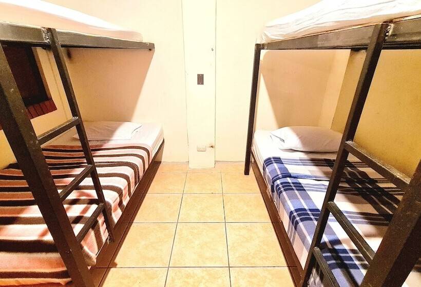 بنسيون Eco Hotel Puerto Urbano