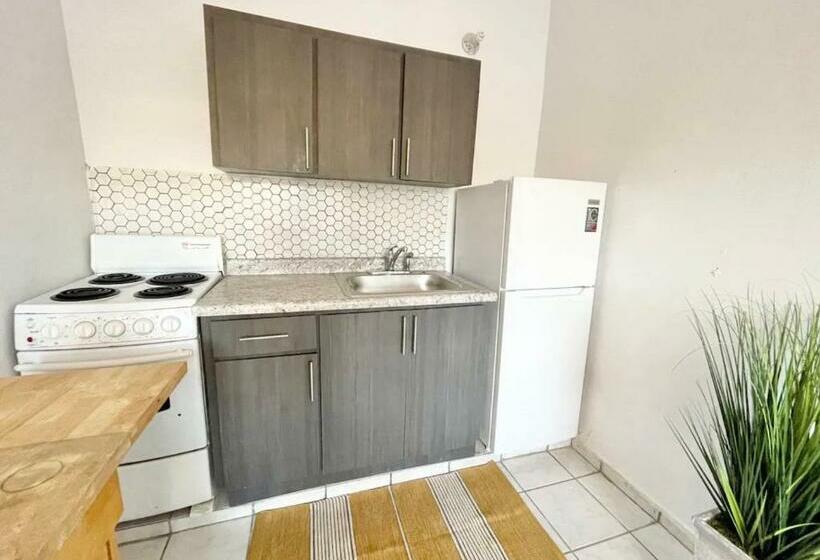 هاستل Oasis Inn