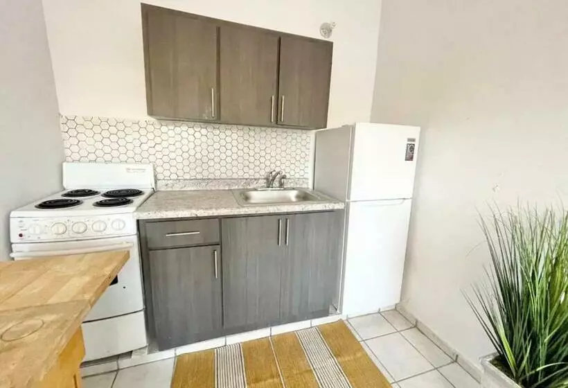 هاستل Oasis Inn