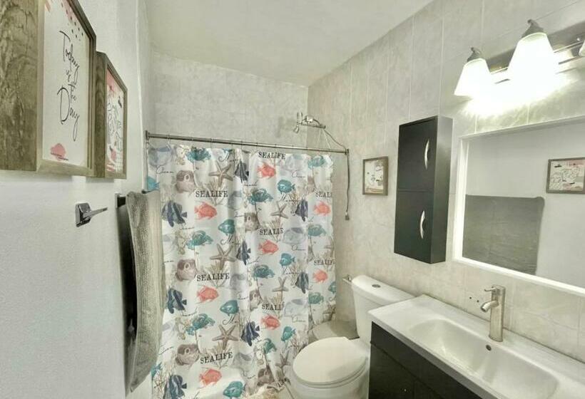 هاستل Oasis Inn