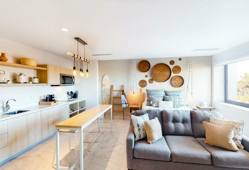 Hotel Cs Downtown Loft Csl