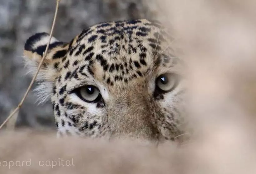 Hotelli Pride Resort & Convention Center Ranakpur Near Ranakpur Dam