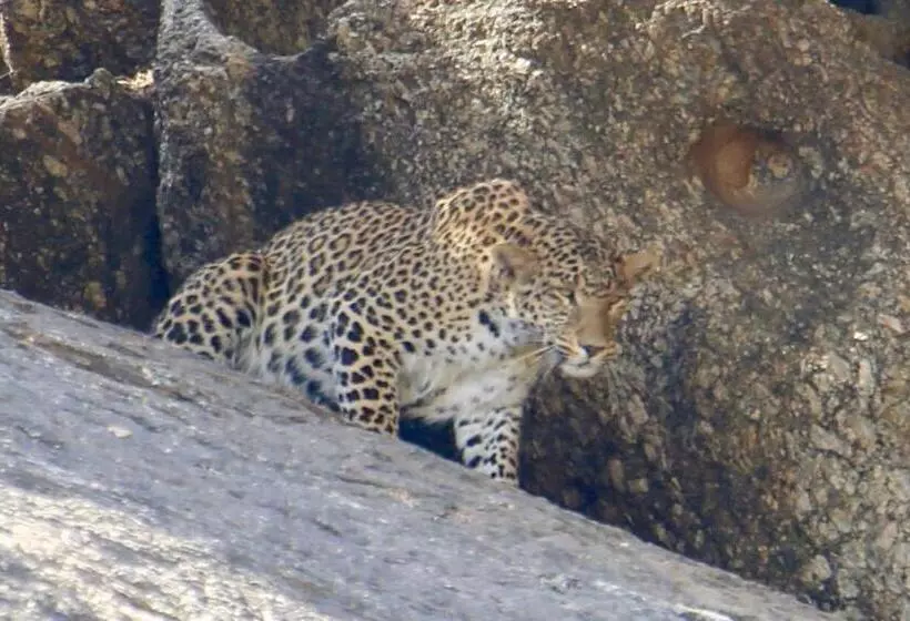 Hotelli Pride Resort & Convention Center Ranakpur Near Ranakpur Dam