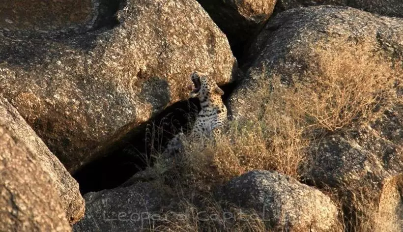 Hotelli Pride Resort & Convention Center Ranakpur Near Ranakpur Dam