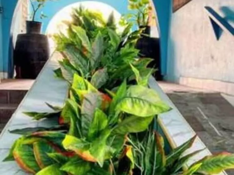 پانسیون Edwards Guesthouse