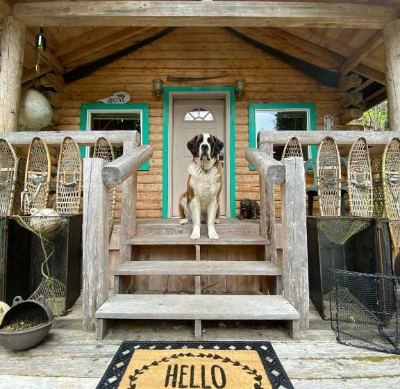 Panzió Kobuk’s Kabin