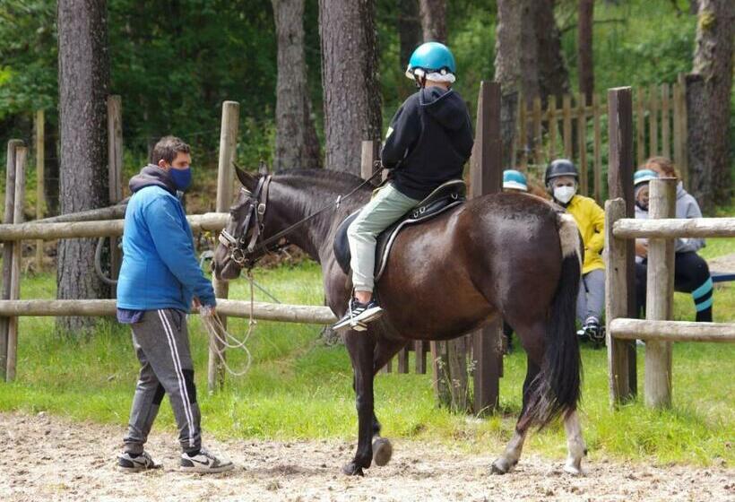 Estación De Montaña Manzaneda