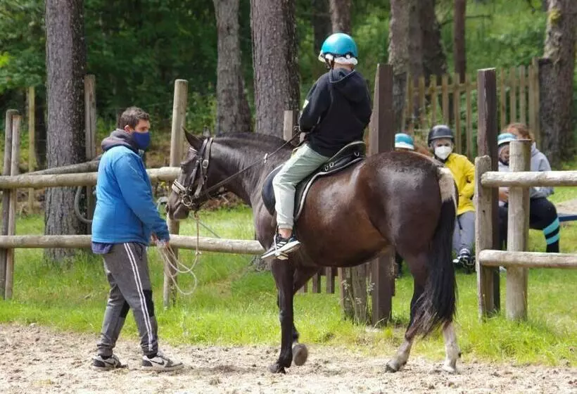 Estación De Montaña Manzaneda