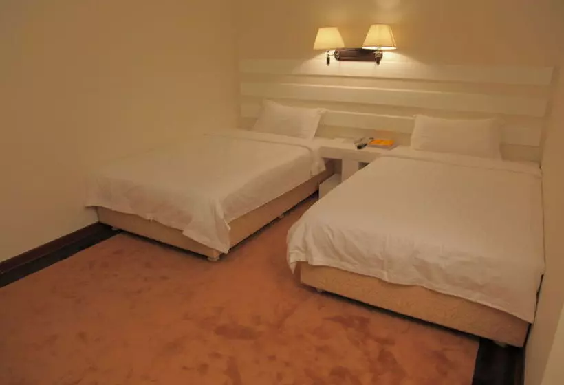 فندق Champs Elysee