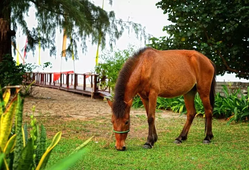 هتل Nataya Round House Coral Bay Resort