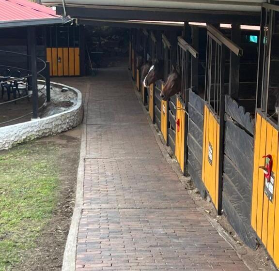 בית מלון כפרי Criadero Las Tres Marías Hospedaje Rural Mi Refugio